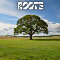 Roots - Instrumental cover